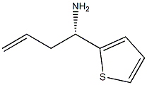 (S)-1-(Thiophen-2-yl)but-3-en-1-amine,224453-38-7,结构式