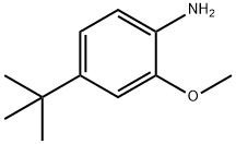 4-tert-butyl-2-methoxybenzenamine Structure