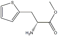 METHYL (2R)-2-AMINO-3-(THIOPHEN-2-YL)PROPANOATE|