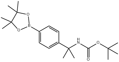 4-[2-(Boc-amino)-2-propyl]phenylboronic Acid Pinacol Ester Struktur