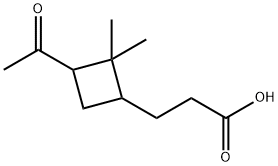 3-(3-acetyl-2,2-dimethylcyclobutyl)propanoic acid Structure