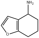 4,5,6,7-四氢-1-苯并呋喃-4-胺, 389795-57-7, 结构式