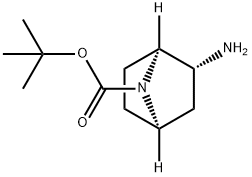 1,1-Dimethylethyl (1S,2R,4R)-2-amino-7-azabicyclo[2.2.1]heptane-7-carboxylate Struktur