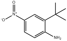 2-tert-butyl-4-nitrobenzenamine Structure