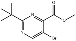 Methyl 5-bromo-2-(tert-butyl)pyrimidine-4-carboxylate|5-溴-2-(叔丁基)嘧啶-4-羧酸甲酯