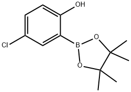 4-chloro-2-(4,4,5,5-tetramethyl-1,3,2-dioxaborolan-2-yl)phenol price.