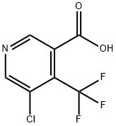 5-CHLORO-4-(TRIFLUOROMETHYL)NICOTINIC ACID Structure