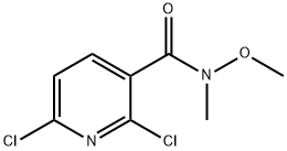 2,6-二氯-N-甲氧基-N-甲基吡啶-3-甲酰胺, 873936-98-2, 结构式