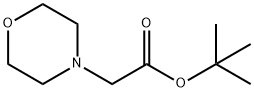 tert-butyl 2-morpholinoacetate Struktur