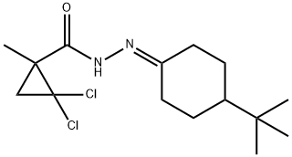 N'-(4-(tert-butyl)cyclohexylidene)-2,2-dichloro-1-methylcyclopropanecarbohydrazide Structure