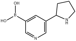 5-(pyrrolidin-2-yl)pyridin-3-ylboronic acid hydrochloride Struktur