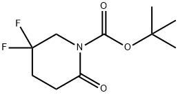 5,5-difluoro-2-oxo-piperidin-1-carboxylic acid t-butyl ester|911634-76-9