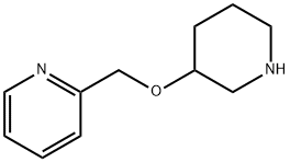 2-[(ピペリジン-3-イルオキシ)メチル]ピリジン 化学構造式