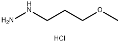 (3-Methoxypropyl)hydrazine Dihydrochloride Struktur