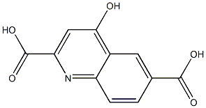 4-Hydroxy-quinoline-2,6-dicarboxylic acid,,结构式