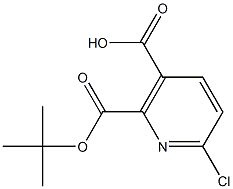 2-N-BOC-6-氯烟酸