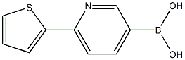 (6-(thiophen-2-yl)pyridin-3-yl)boronic acid 结构式