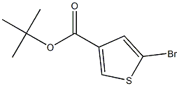 tert-Butyl 5-bromothiophene-3-carboxylate Structure