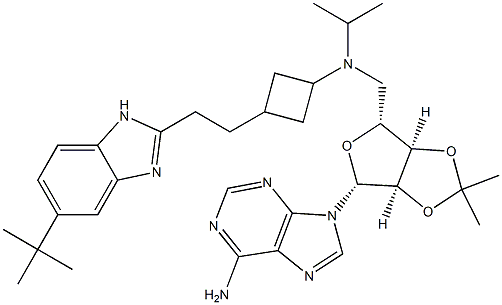 9-((3aR,4R,6R,6aR)-6-(((3-(2-(5-tert-butyl-1H-benzo[d]imidazol-2-yl)ethyl)cyclobutyl)(isopropyl)amino)methyl)-2,2-dimethyltetrahydrofuro[3,4-d][1,3]dioxol-4-yl)-9H-purin-6-amine Structure