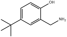 2-(AMINOMETHYL)-4-TERT-BUTYLPHENOL Struktur