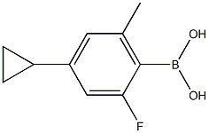 4-シクロプロピル-2-フルオロ-6-メチルフェニルボロン酸 化学構造式