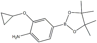 2-cyclopropoxy-4-(4,4,5,5-tetramethyl-1,3,2-dioxaborolan-2-yl)aniline Structure