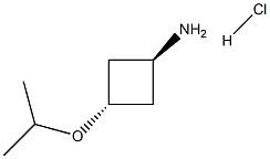 trans-3-(propan-2-yloxy)cyclobutan-1-amine hydrochloride Struktur