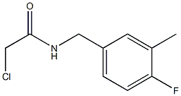  2-chloro-N-[(4-fluoro-3-methylphenyl)methyl]acetamide