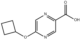 5-シクロブトキシピラジン-2-カルボン酸 化学構造式