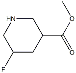 METHYL 5-FLUOROPIPERIDINE-3-CARBOXYLATE 化学構造式