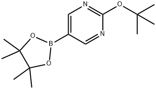 2-叔丁氧基嘧啶-5-硼酸频哪醇酯 结构式