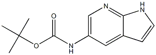 tert-butyl 1H-pyrrolo[2,3-b]pyridin-5-ylcarbamate Structure