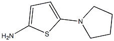 5-(pyrrolidin-1-yl)thiophen-2-amine,,结构式