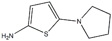 5-(pyrrolidin-1-yl)thiophen-2-amine|