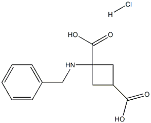 (1s,3s)-1-(benzylamino)cyclobutane-1,3-dicarboxylic acid hydrochloride Struktur