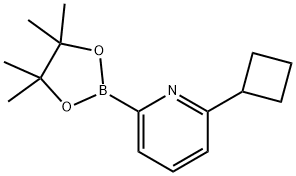 2-cyclobutyl-6-(4,4,5,5-tetramethyl-1,3,2-dioxaborolan-2-yl)pyridine|