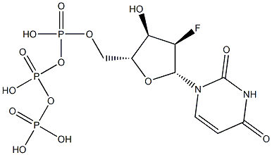 2'-氟-脱氧尿苷三磷酸 100MM溶液