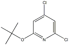 2-tert-butoxy-4,6-dichloropyridine Struktur