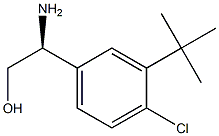 (S)-2-amino-2-(3-(tert-butyl)-4-chlorophenyl)ethanol,,结构式