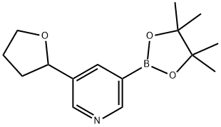 3-(tetrahydrofuran-2-yl)-5-(4,4,5,5-tetramethyl-1,3,2-dioxaborolan-2-yl)pyridine 结构式