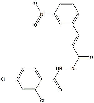 2,4-dichloro-N'-[3-(3-nitrophenyl)acryloyl]benzohydrazide