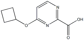 4-Cyclobutoxypyrimidine-2-carboxylic acid 结构式