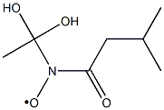 Nitroxide,  1,1-dihydroxyethyl  3-methyl-1-oxobutyl  (9CI) 结构式