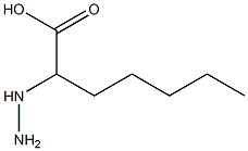 Enanthic  acid,  -alpha--hydrazino-  (4CI) Structure