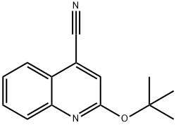 Cinchoninonitrile,  2-tert-butoxy-  (4CI) 结构式