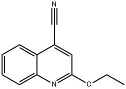 Cinchoninonitrile,  2-ethoxy-  (3CI) 化学構造式