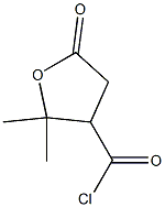 Valeric acid, 3-(chloroformyl)-4-hydroxy-4-methyl-, gamma-lactone (6CI) 结构式