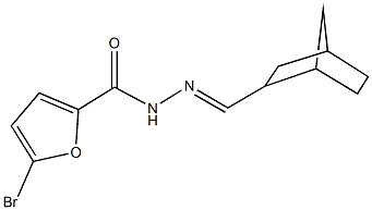 N'-(bicyclo[2.2.1]hept-2-ylmethylene)-5-bromo-2-furohydrazide,1005072-31-0,结构式