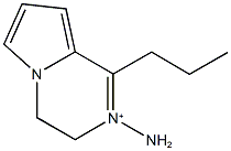 2-amino-1-propyl-3,4-dihydropyrrolo[1,2-a]pyrazin-2-ium Structure