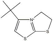 5-tert-butyl-2,3-dihydro[1,3]thiazolo[2,3-b][1,3]thiazol-4-ium Structure